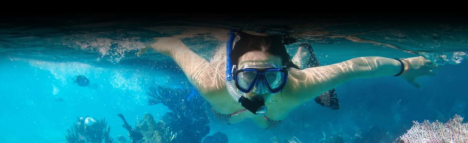 Snorkeling _banner