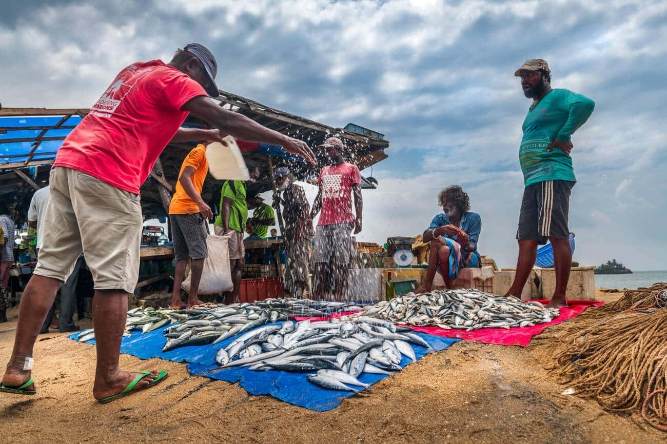 Local Fishermen’s Market